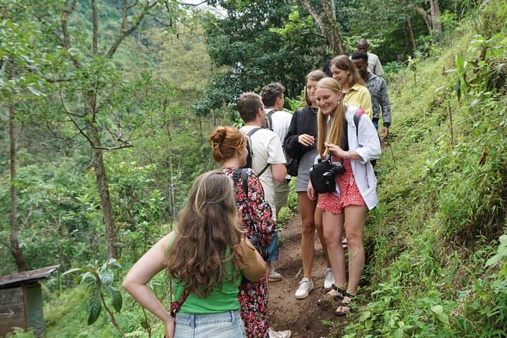 Materuni Waterfalls & Coffee Tour — Day Hike from Moshi photo 4