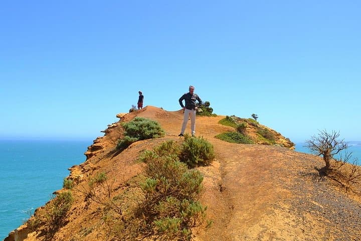 Private Great Ocean Road Discovery Tour — Twelve Apostles, Otways & Wildlife photo 4