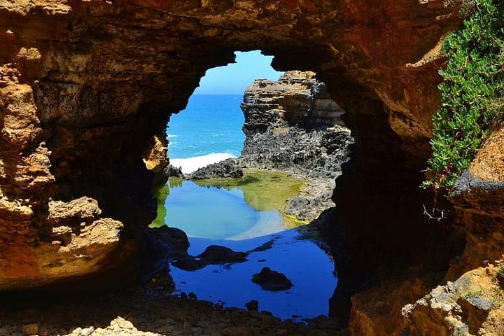 Private Great Ocean Road Discovery Tour — Twelve Apostles, Otways & Wildlife photo 3