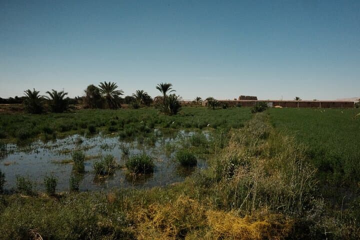 Custom Desert Safari from Luxor — 4x4 Journeys, Camping & Hot Springs photo 5