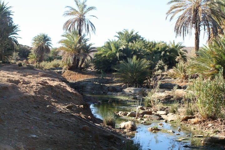 2-Day Bou Jerif Desert Bivouac from Agadir: Legzira, Tiznit & Camel Ride photo 6