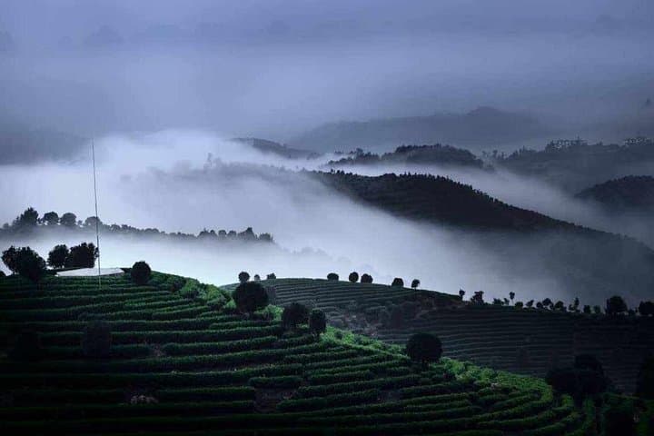 Yangshuo Half-Day: Seven Fairies Tea Plantation & Xianggong Hill Panorama photo 2