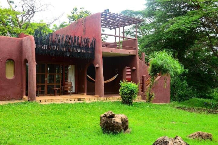 3-Day Amboseli Safari by Flight from Diani or Mombasa — Kilimanjaro Views & Big Five photo 4