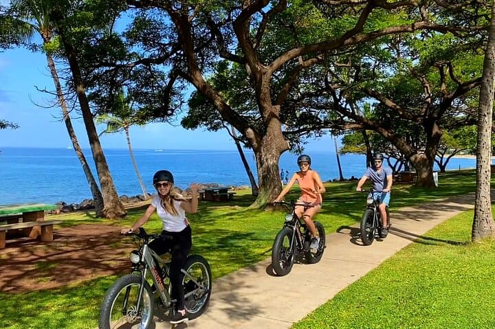 West Maui eBike Island Explorer: Full-Day Electric Bike Rental & Coastal Tour photo 6