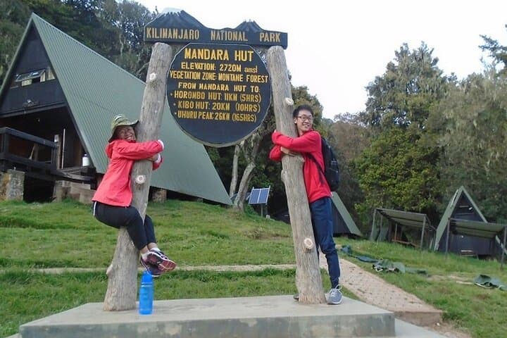 Kilimanjaro Marangu Day Hike — Mandara Hut Rainforest Trek photo 6