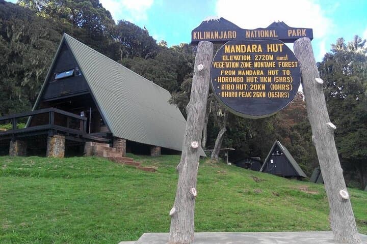 Kilimanjaro Marangu Day Hike — Mandara Hut Rainforest Trek photo 4