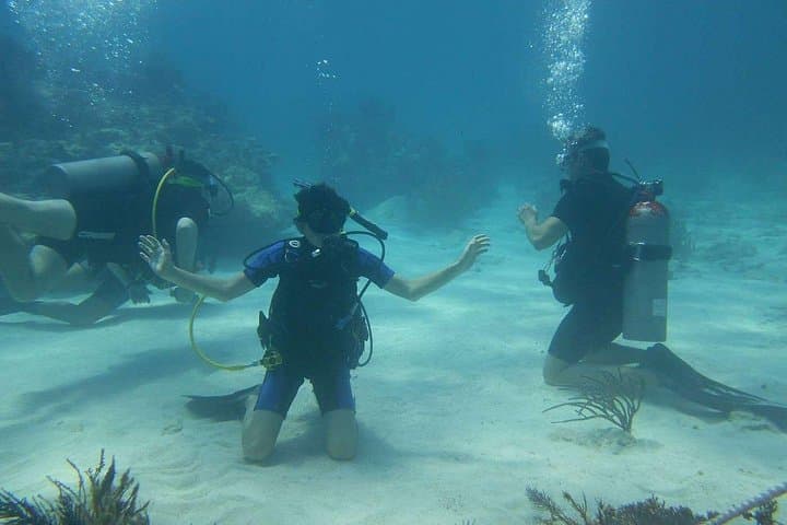 Two-Tank Scuba Dive in Montego Bay: Explore Coral Reefs & Marine Life photo 3