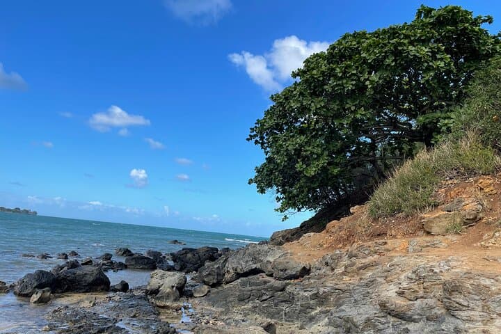 Paddle to Mokoli'i (Chinaman's Hat): Stand‑Up Paddleboard and Summit Hike from Kualoa photo 2