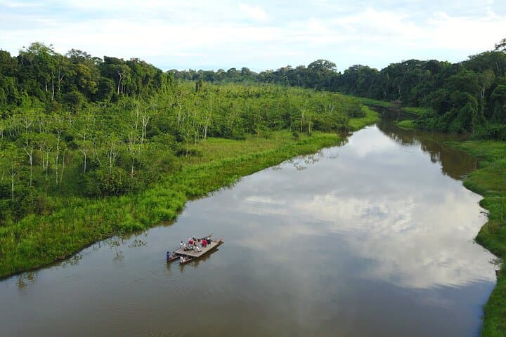3-Day Manu National Park: Clay Licks, Cloud Forest & Amazon Wildlife photo 4