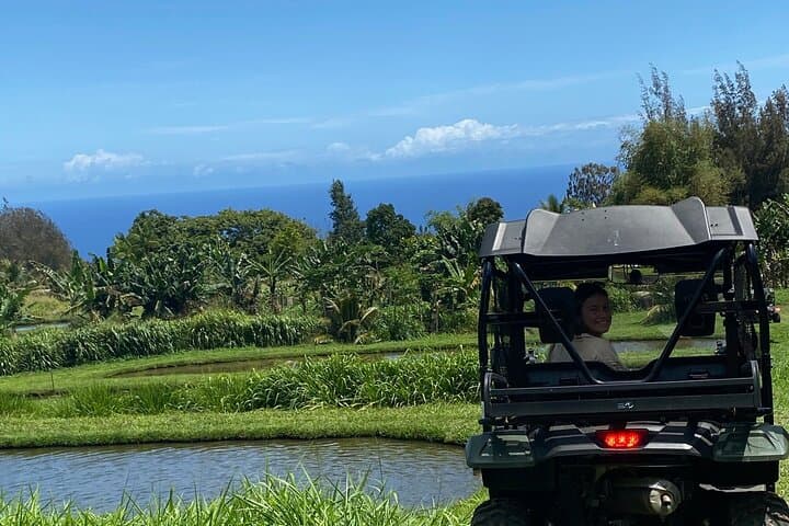 Waipio Horseback Ranch Ride — Mountain-to-Ocean Tour on the Hamakua Coast