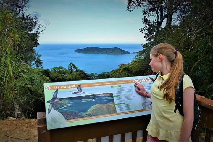 Queen Charlotte Track: One-Day Walk & Wildlife Cruise from Picton photo 1