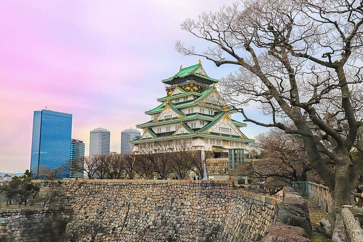 4-Day Private Kyoto, Osaka & Nara Tour with English-Speaking Chauffeur photo 3