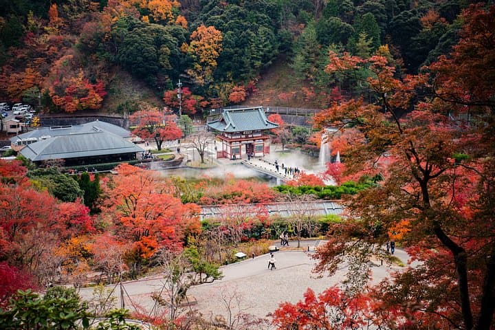 4-Day Private Kyoto, Osaka & Nara Tour with English-Speaking Chauffeur photo 4