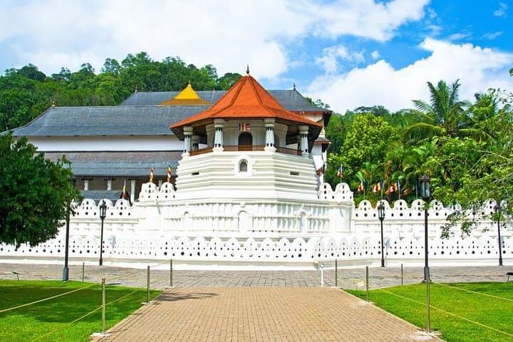 Kandy City Tour: Temple of the Tooth, Botanical Gardens & Tea Estate (Private Full-Day)
