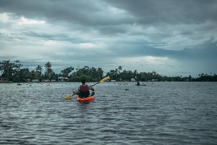 Sunrise Kayak Through Alleppey Backwaters: Island Village Paddling & Birdlife photo 4