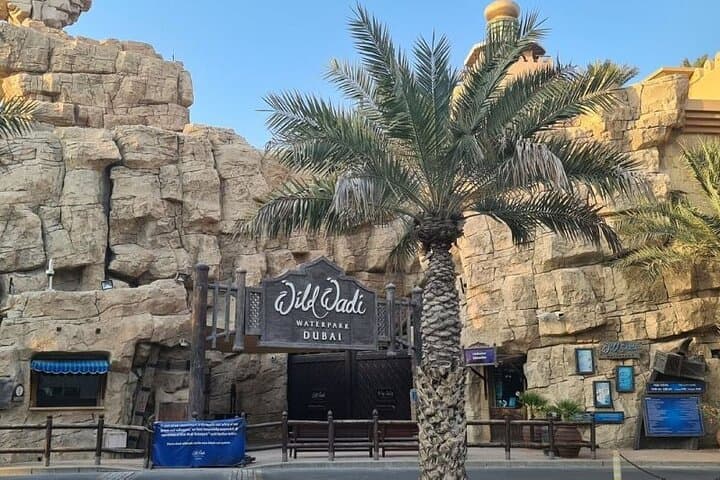 Full-Day Wild Wadi Waterpark Pass with One-Way Transfer — Dubai's Best Water Rides