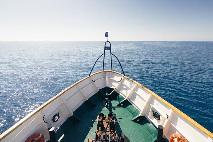 Half-Day Odyssey: Zenobia Wreck & Blue Lagoon Boat Safari from Larnaca photo 2