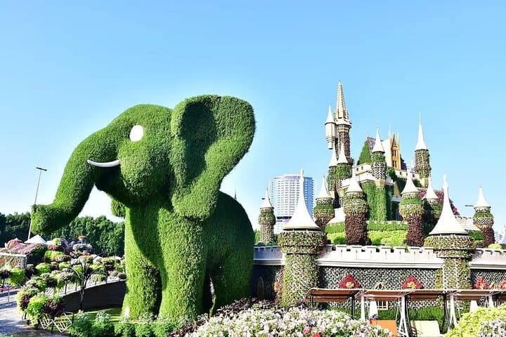 Explore Dubai Miracle Garden: Tickets, Tips & Private Transfer photo 2