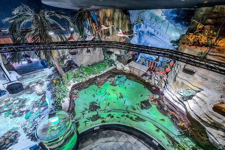 Dubai Mall Aquarium & Underwater Zoo — Tickets with Private Transfer photo 2