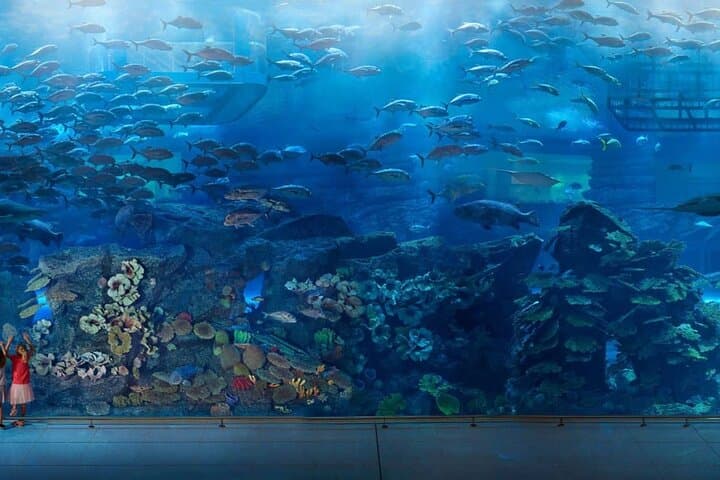 Dubai Mall Aquarium & Underwater Zoo — Tickets with Private Transfer photo 3