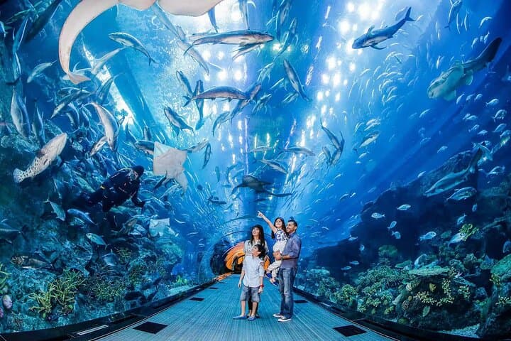 Dubai Mall Aquarium & Underwater Zoo — Tickets with Private Transfer photo 4