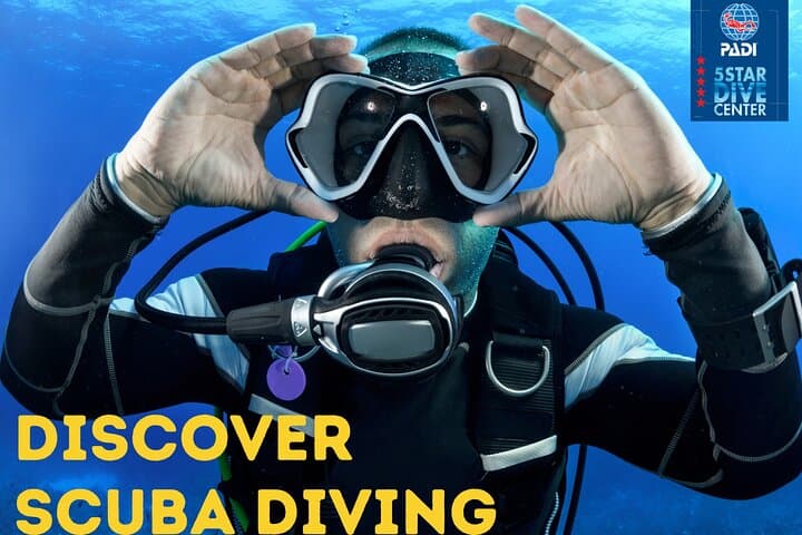 Discover Scuba Diving with Atlantic Turtles in Tenerife photo 6