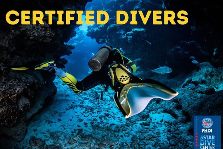 Scuba Diving for Certified Divers in Costa Adeje — Day Trips from Puerto Colón photo 2