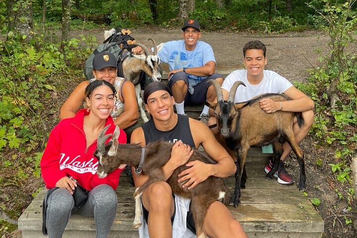 Goat Hiking and Beaver-Dam Picnic Near Quebec City: Pack-Goat Forest Walk photo 1