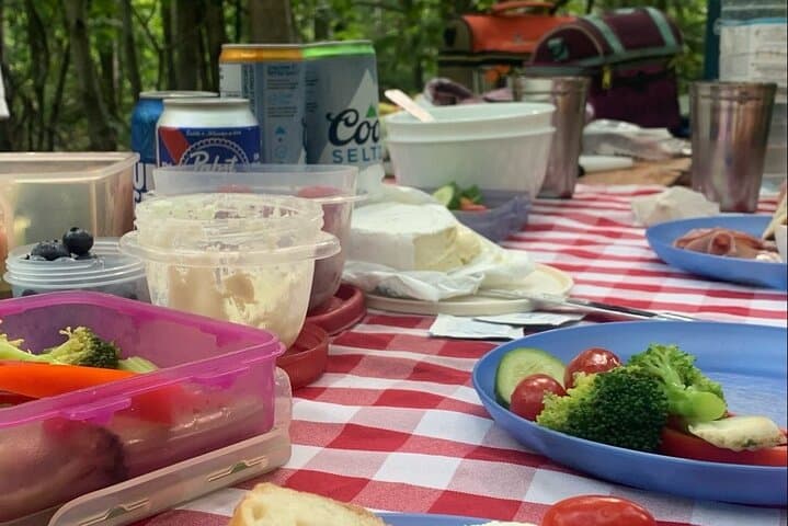 Goat Hiking and Beaver-Dam Picnic Near Quebec City: Pack-Goat Forest Walk photo 2