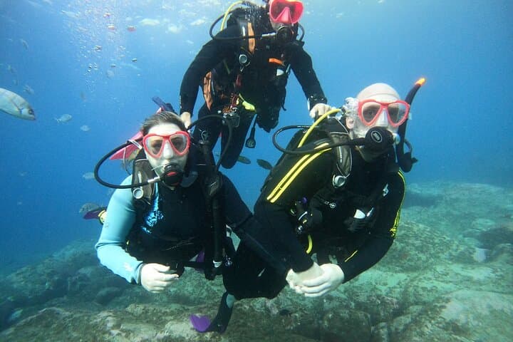 Tenerife First-Time Scuba Dive: Turtle Habitat & Snorkel in Costa Adeje photo 5