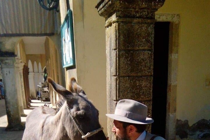 Explore Durrells Filming Locations and Corfu's Animal Heritage photo 4