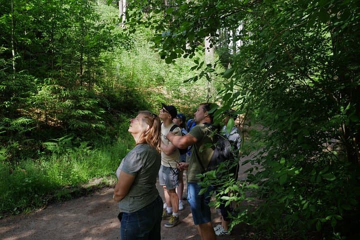 Bohemian Paradise Day Trip: Hike Sandstone Labyrinths, Castle Lunch & Brewery Tour photo 4