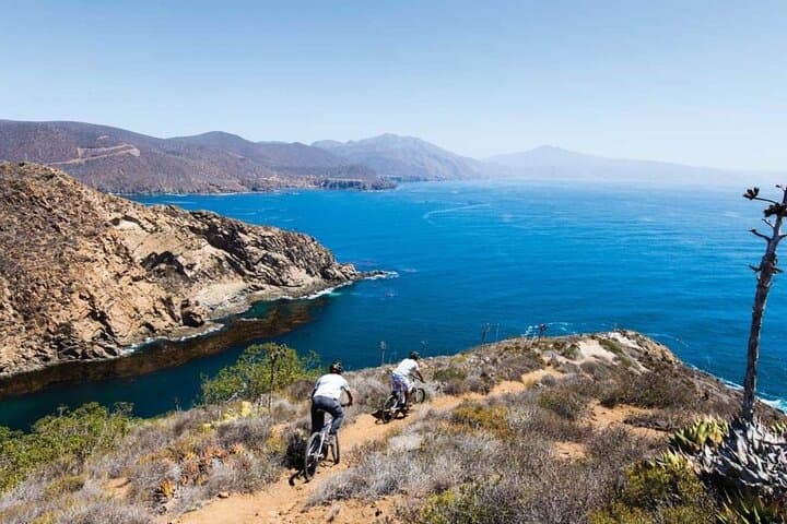 Discover Ensenada: La Bufadora and Valle de Guadalupe Private Guided Tour photo 2