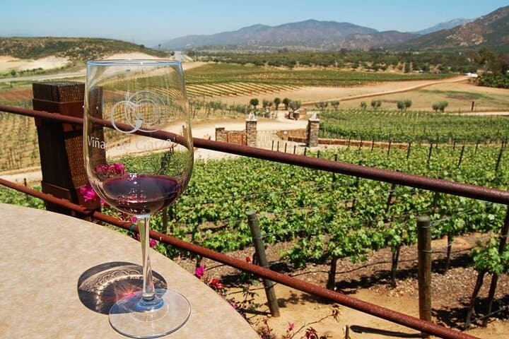 Discover Ensenada: La Bufadora and Valle de Guadalupe Private Guided Tour photo 3