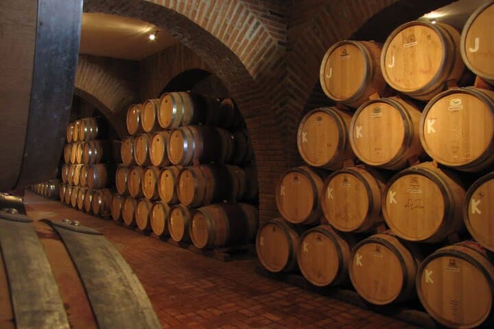 Discover Ensenada: La Bufadora and Valle de Guadalupe Private Guided Tour photo 4