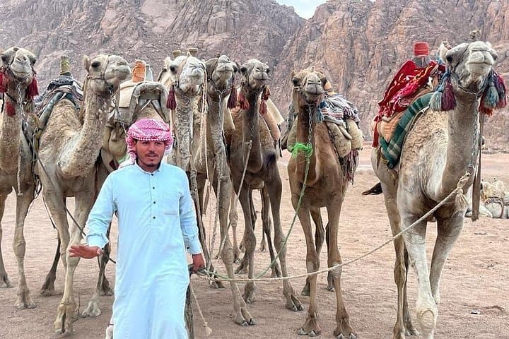 Sinai Desert Quad Bike Safari with Bedouin Dinner & Stargazing photo 3