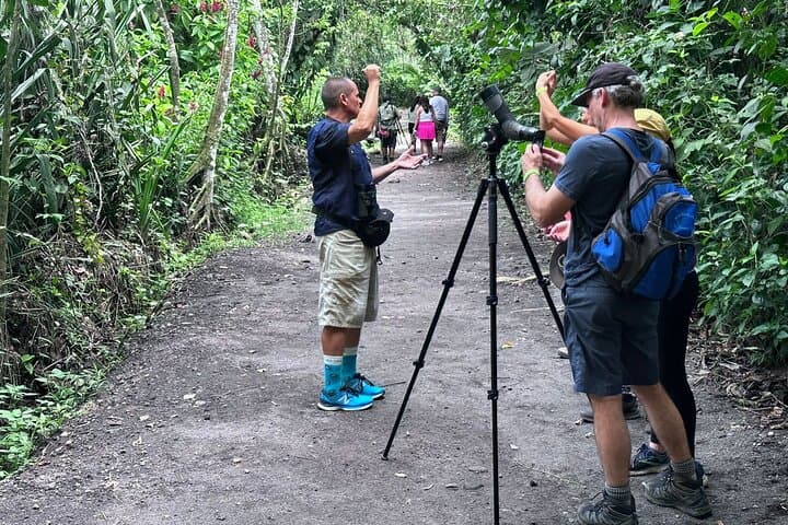 Bogarin Trail Sloth Guided Tour – La Fortuna Rainforest Walk & Wildlife Viewing photo 6