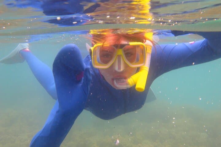 Miami Bayside Snorkeling & Sandbar Party — 2‑Hour Beginner Boat Trip photo 5