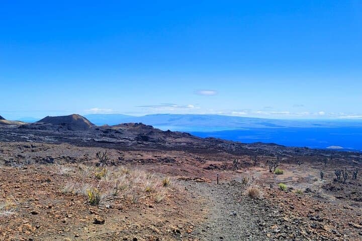 Sierra Negra Volcano Hike: Isabela Island Lava Fields & Caldera photo 4