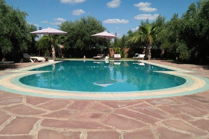 Pool Lunch & Camel Ride Near Marrakech: Riad Sidi Hicham and Palmeraie Day Escape photo 1