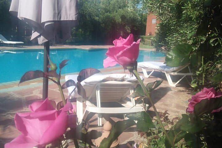 Pool Lunch & Camel Ride Near Marrakech: Riad Sidi Hicham and Palmeraie Day Escape photo 3