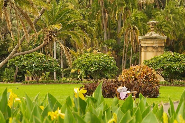 Explore Aswan’s Botanical Garden and Nubian Village: A 4‑Hour Cultural & Nature Tour photo 6