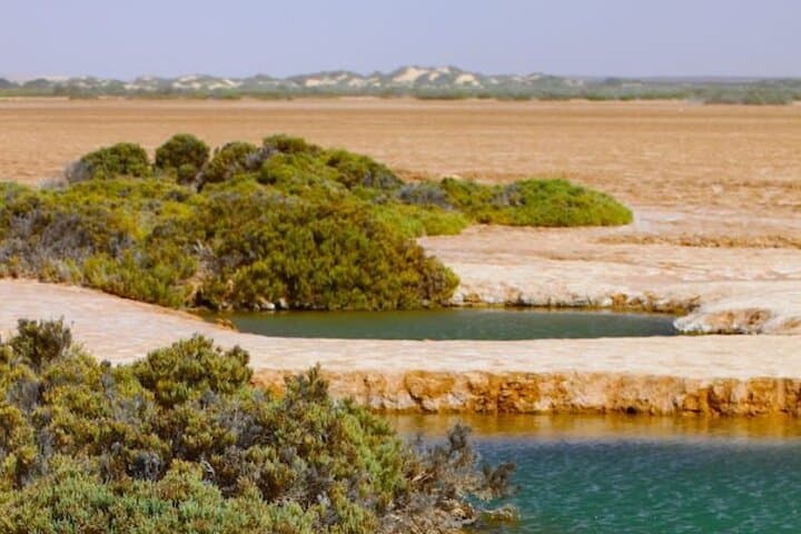 Imlili Sebkha Private Tour — Dakhla’s Desert Wetland, Geology & Saharawi Culture