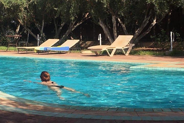 Pool Lunch & Camel Ride Near Marrakech: Riad Sidi Hicham and Palmeraie Day Escape photo 4