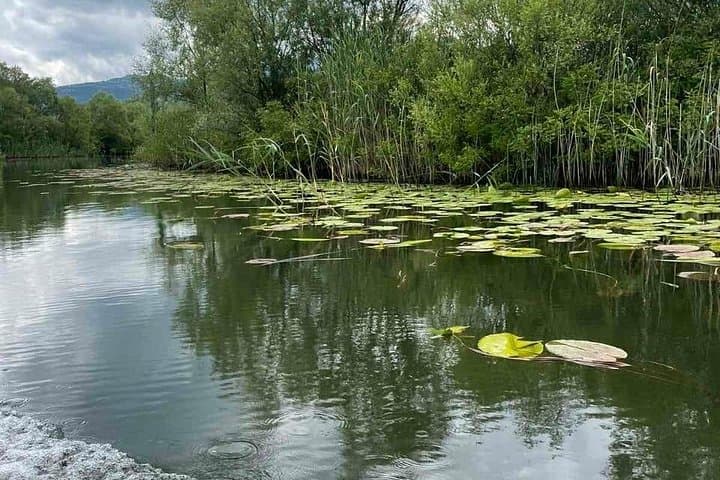 Skadar Lake Boat Tour: Noah's Ark Journey to Pelicans & Historic Grmožur photo 2