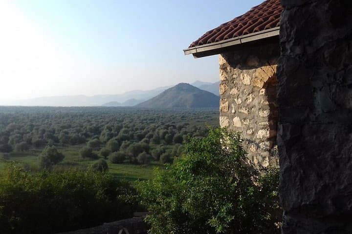 Skadar Lake Boat Tour: Noah's Ark Journey to Pelicans & Historic Grmožur photo 3