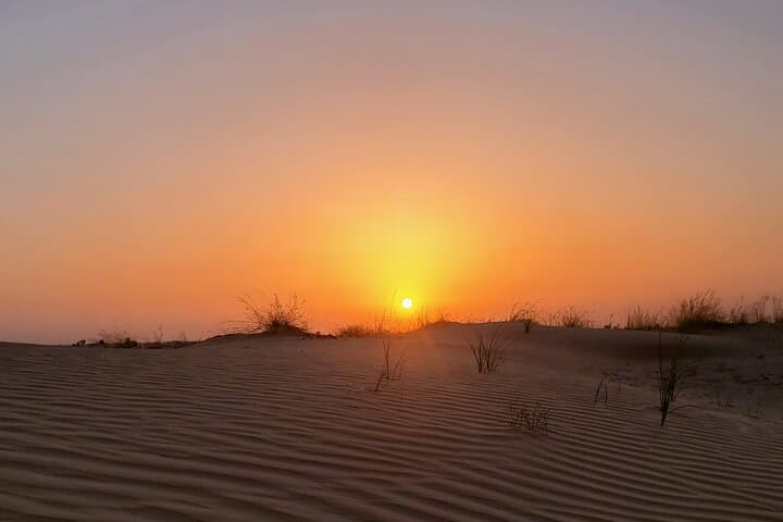 Dubai Sunset Camel Ride and Desert Safari with BBQ & Evening Shows photo 5