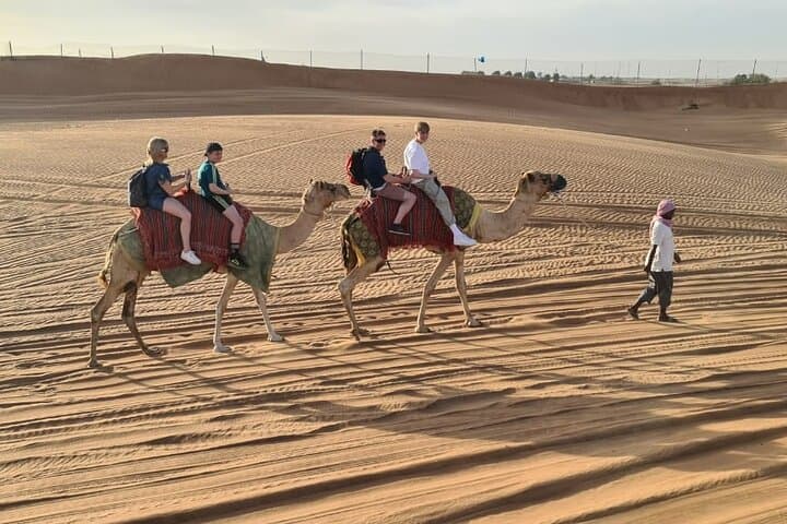 Dubai Sunset Camel Ride and Desert Safari with BBQ & Evening Shows