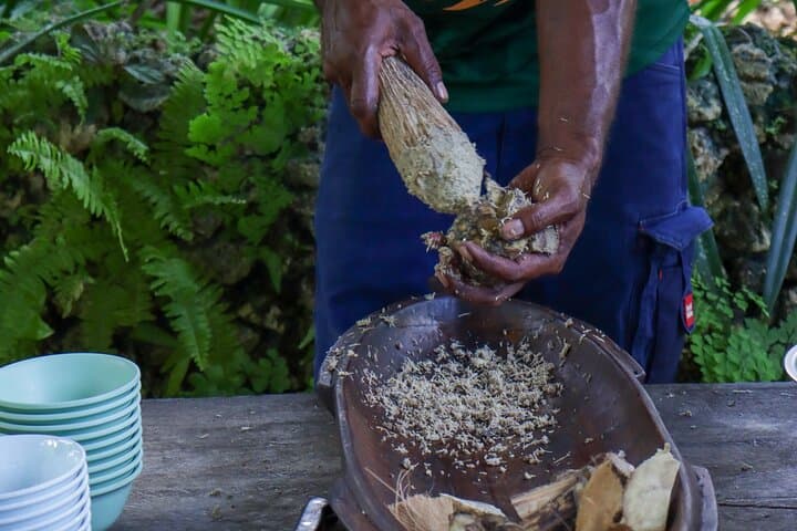 Eden's Kava Experience: Kava Farm Tour, Tasting & River Swim on Efate photo 3