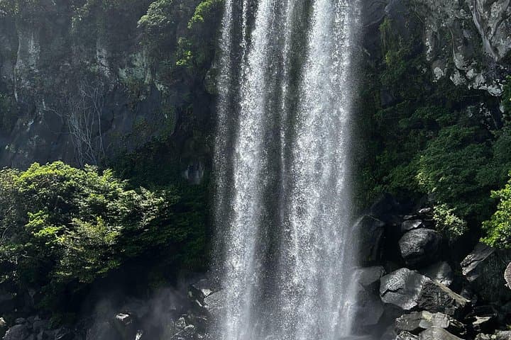Seogwipo Art Museum Walking Tour — Museums, Jeongbang Falls & Local Art photo 2
